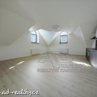Pronájem bytu 1+1 59 m² České Budějovice 3, Fráni Šrámka