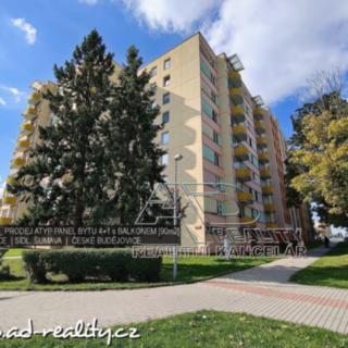 Prodej bytu 4+1 85 m² České Budějovice 2, Netolická
