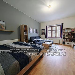Pronájem bytu 1+1 40 m² České Budějovice 2, Husova tř.