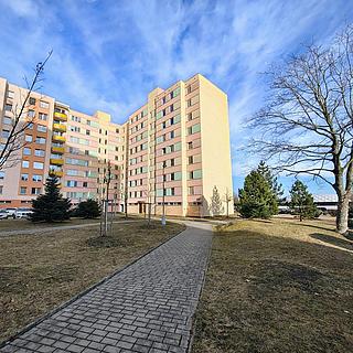 Prodej bytu 4+1 85 m² České Budějovice 2, Netolická