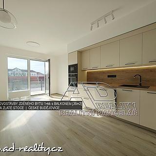 Pronájem bytu 1+kk a garsoniéry 36 m² České Budějovice 2, Na Zlaté stoce