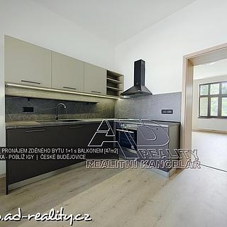 Pronájem bytu 1+1 40 m² České Budějovice, Fráni Šrámka