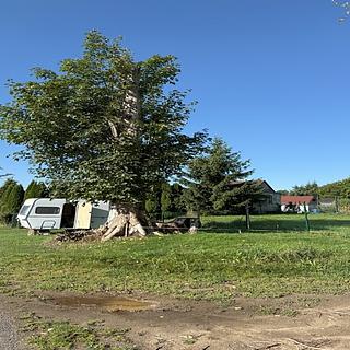 Prodej ostatních pozemků 37 m&sup2; Frymburk