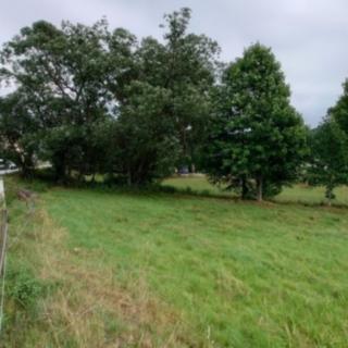 Prodej ostatního pozemku 6 664 m² Strážný Řasnice