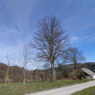 Prodej stavební parcely 3 652 m² Záblatí Albrechtovice