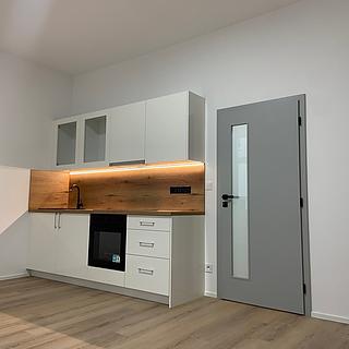 Pronájem bytu 1+kk a garsoniéry 33 m² České Budějovice 6, Rudolfovská tř.