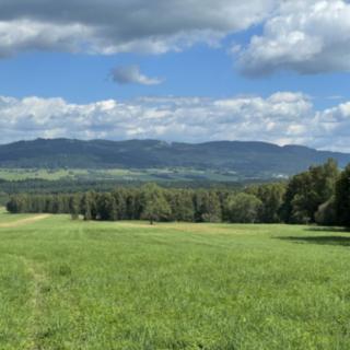 Prodej ostatního pozemku 3 044 m² Nová Pec