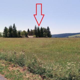 Pronájem zahrady 2 010 m² Nové Hutě