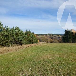 Prodej ostatního pozemku 7 953 m² Borová Lada