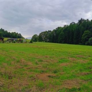 Prodej stavební parcely 4 398 m² Hracholusky Obora