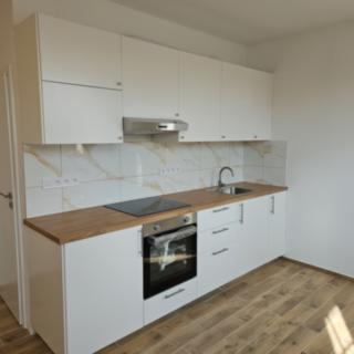 Pronájem bytu 1+kk a garsoniéry 29 m² Husinec, Jeronýmova