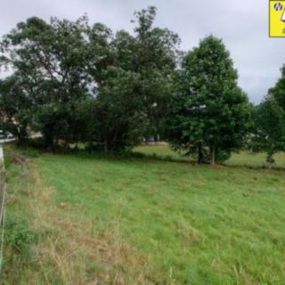 Prodej ostatního pozemku 6 664 m² Strážný Řasnice