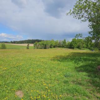 Pronájem stavební parcely 5196 m² Buk
