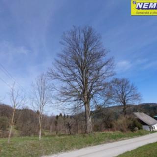 Prodej stavební parcely 3 652 m² Záblatí Albrechtovice