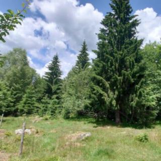 Prodej ostatního pozemku 607 m² Stožec České Žleby