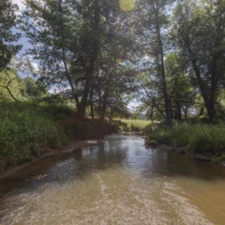 Prodej vodní plochy 1 939 m² Planá