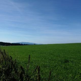 Prodej stavební parcely 42 343 m² Frymburk Milná