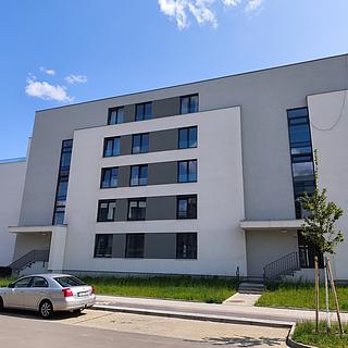 Pronájem parkovacího místa 10 m² Plzeň Jižní Předměstí, Železná