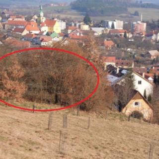 Prodej ostatního pozemku 1 999 m² Vlachovo Březí