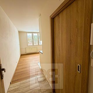 Pronájem bytu 1+kk a garsoniéry 23 m² Dolní Bělá