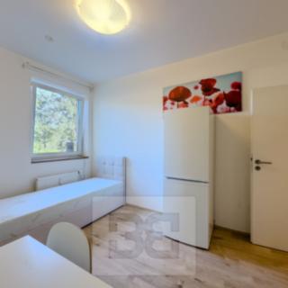 Pronájem bytu 1+kk a garsoniéry 20 m² Praha Krč, Budějovická