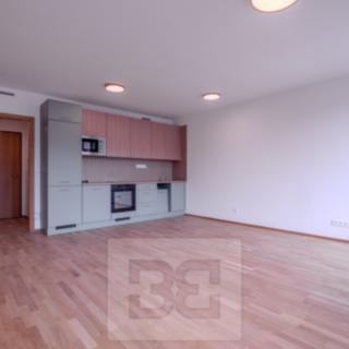 Pronájem bytu 1+kk, garsoniery 42 m² Praha