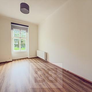Pronájem bytu 1+1 40 m² Praha Žižkov, Seifertova