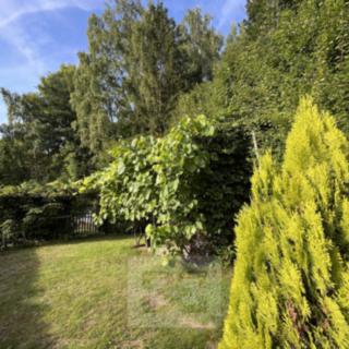 Pronájem bytu 2+1 56 m² Březová, Hamerská