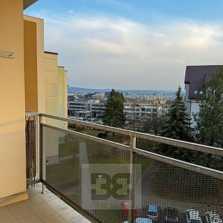 Pronájem bytu 3+1 72 m² Plzeň Severní Předměstí, Elišky Krásnohorské