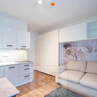 Pronájem bytu 1+kk, garsoniery 22 m&sup2; Tuchoměřice
