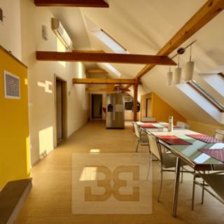 Pronájem bytu 5+kk 195 m² Velké Opatovice