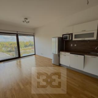 Pronájem bytu 2+kk 50 m² Praha Holešovice, Jankovcova