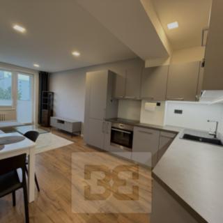 Pronájem bytu 3+kk 52 m² Praha Žižkov, Buková