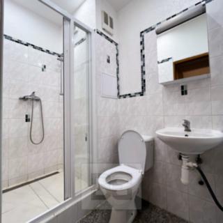 Pronájem bytu 2+1 60 m² Plzeň Lobzy, Blatenská