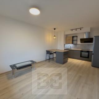Pronájem bytu 2+kk 46 m² Praha Žižkov, Olgy Havlové