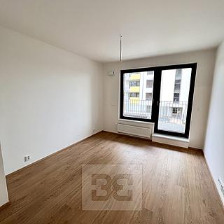 Pronájem bytu 2+kk 53 m² Praha Čimice, Hrašeho