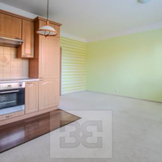 Pronájem bytu 1+kk, garsoniery 29 m² Praha