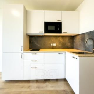 Pronájem bytu 1+kk a garsoniéry 22 m² Praha Chodov, Čenětická