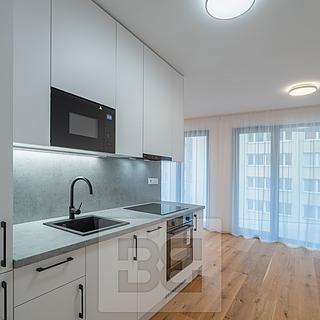 Pronájem bytu 1+kk a garsoniéry 40 m² Praha Košíře, Starokošířská