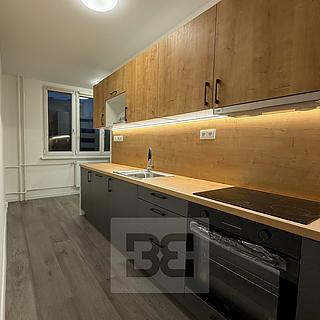 Pronájem bytu 3+1 74 m² Tachov, Stadtrodská