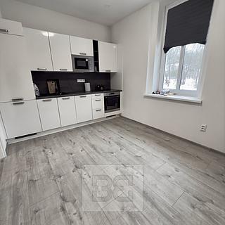 Pronájem bytu 1+1 45 m² Mělník