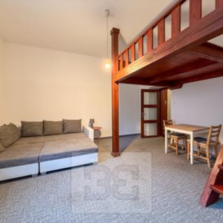 Pronájem bytu 2+1 59 m² Praha Podolí, Na dolinách