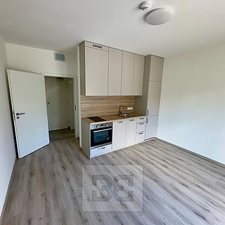 Pronájem bytu 1+kk a garsoniéry 22 m² Tuchoměřice, V Kněžívce