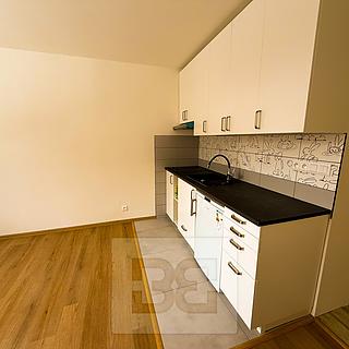 Pronájem bytu 1+kk a garsoniéry 23 m² Dolní Bělá