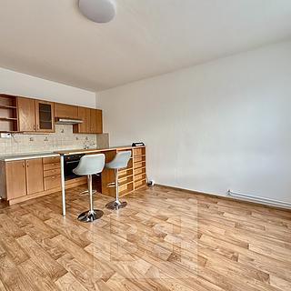Pronájem bytu 2+kk 48 m&sup2; Ostrava