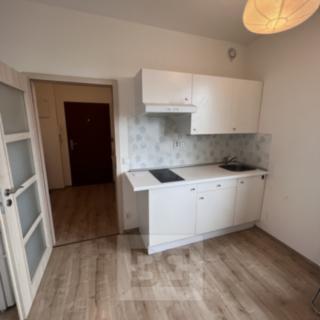 Pronájem bytu 1+kk a garsoniéry 23 m² Praha Vysočany, Freyova