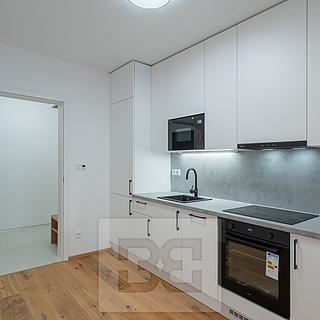 Pronájem bytu 1+kk a garsoniéry 40 m² Praha Košíře, Starokošířská