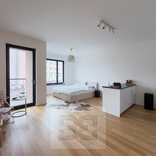 Pronájem bytu 1+kk, garsoniery 42 m² Praha