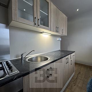 Pronájem bytu 1+1 43 m² Brno Štýřice, Vídeňská