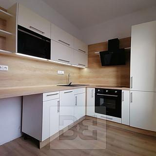 Pronájem bytu 1+1 40 m² Ostrava